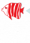 熱帯魚